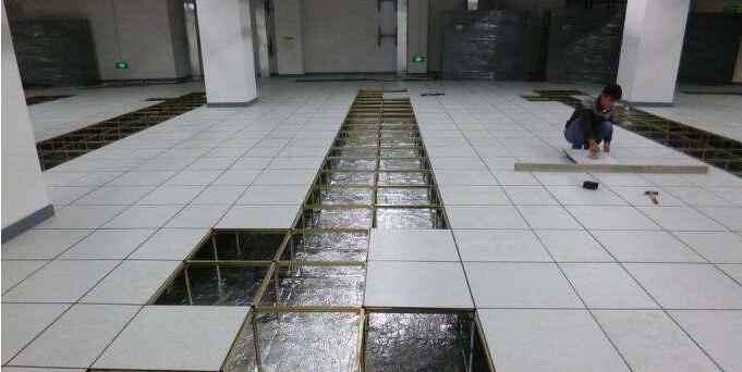 玉米视频在线观看地板.jpg